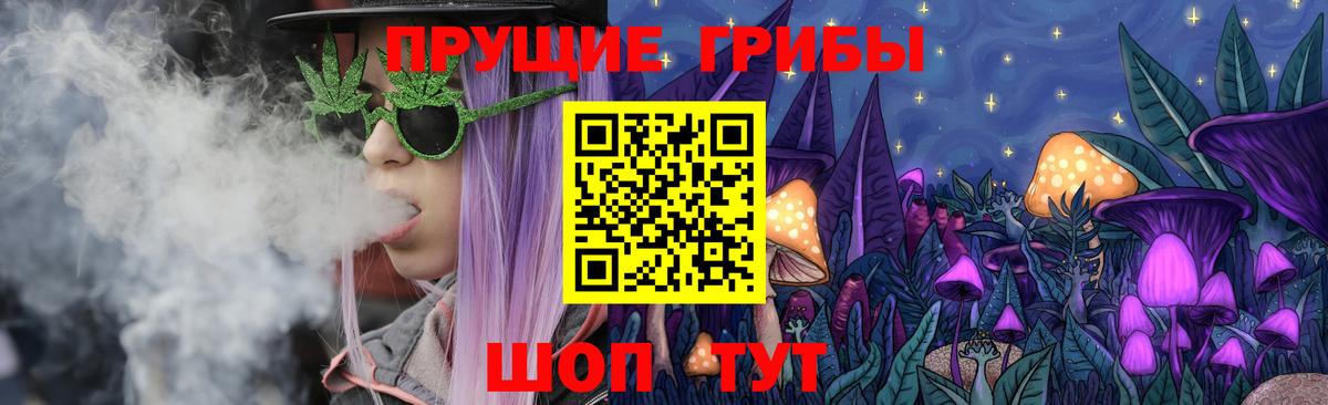 Галлюциногенные грибы мицелий  Вход с VPN  Петропавловск-Камчатский 